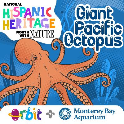 Giant Pacific Octopus: 8 arms and 9 brains!