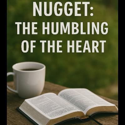 Tuesday's Daily Nugget - November 11, 2025