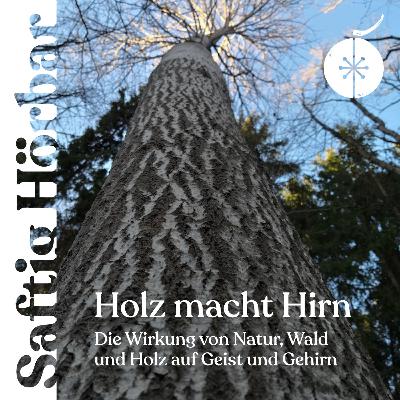 Holz macht Hirn - Wie wirkt sich Wald, Natur uns Holz auf unseren Geist und unser Gehirn aus?