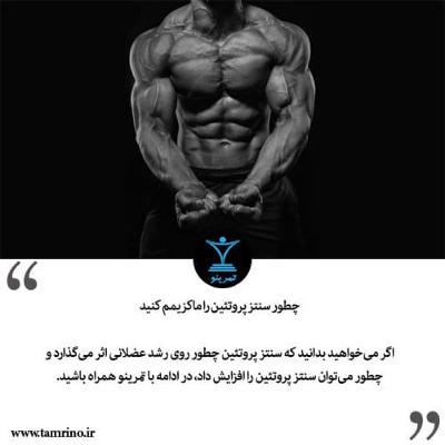 راهنمای کاربردی افزایش سنتز پروتئین (هوش مصنوعی) راهنمای کاربردی افزایش سنتز پروتئین (هوش مصنوعی)