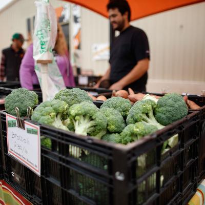 Why are people hungry when we're a land with so much food?
