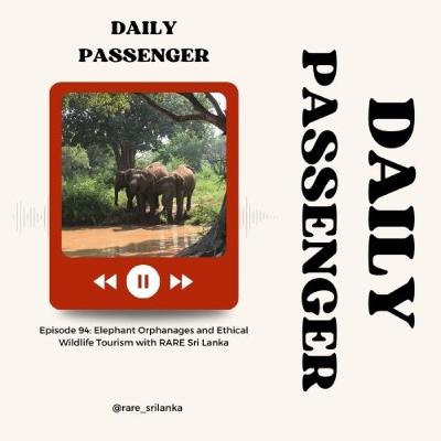 94: How Ethical Are Elephant Orphanage Tourism in Sri Lanka with RARE Sri Lanka 94: How Ethical Are Elephant Orphanage Tourism in Sri Lanka with RARE Sri Lanka