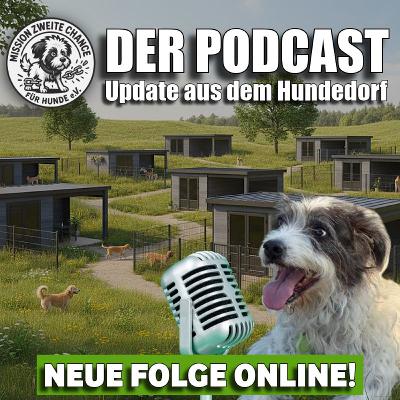 #352 Charity Event und euer Engagement!