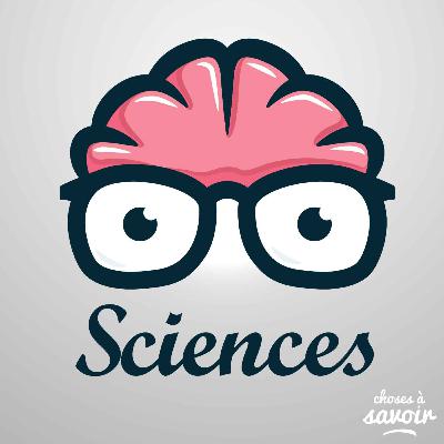 Pourquoi Pékin a-t-elle un Bureau des modifications météorologiques ?