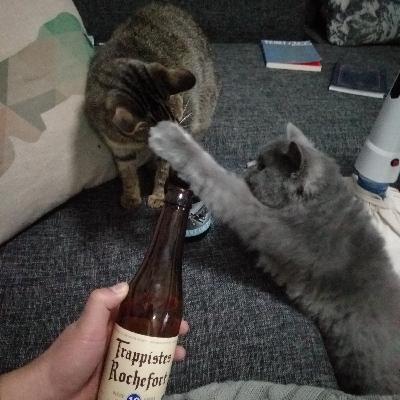 藏区旅行遇到喇嘛，磕长头是不是愚昧的信仰？