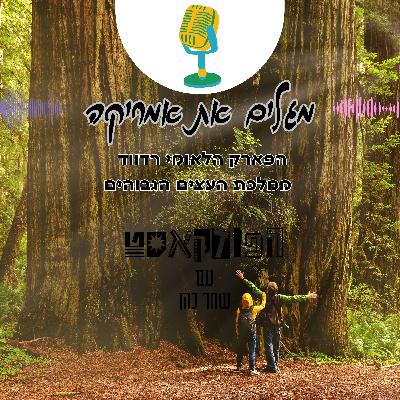 הפארק הלאומי רדווד - ממלכת העצים הגבוהים