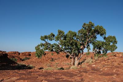 Outback Confidential: Our adventures in Australia's Northern Territory