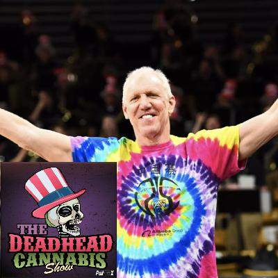 Live at the Sphere: An Unforgettable Dead & Co. Performance