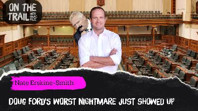 Is Nate Erskine Smith the next leader of the Ontario Liberals?