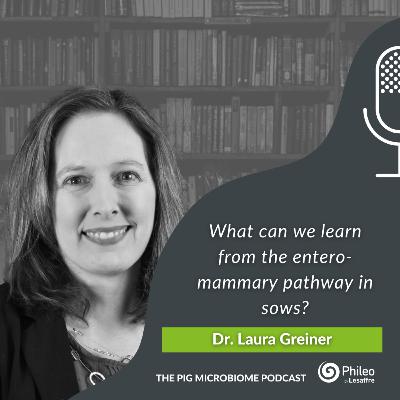 #10 - What can we learn from the entero-mammary pathway in sows? - Dr. Laura Greiner