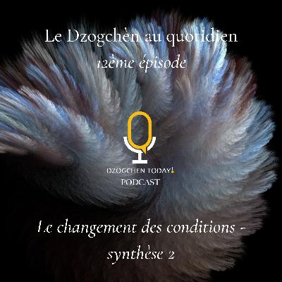 Le Dzogchèn et le “soulagement” des émotions au jour le jour (12) - Le changement des conditions - synthèse 2