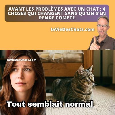 VOIR CE QUI CHANGE CHEZ VOTRE CHAT AVANT LES PROBLÈMES