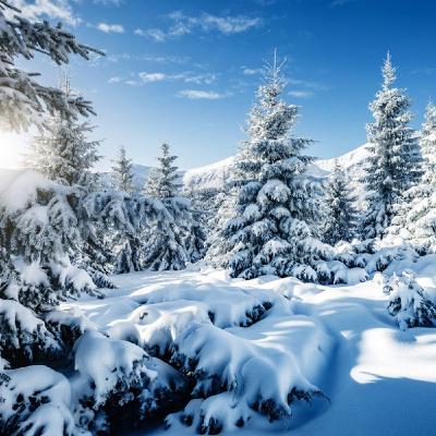 Il tempo della neve Il tempo della neve