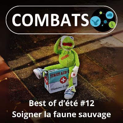 BEST OF D'ÉTÉ #12 : Soigner la faune sauvage 12/13
