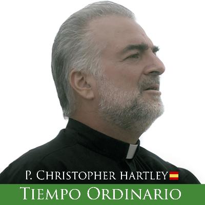 Ordinario XXI 002 lunes Mt(23,13-22) III