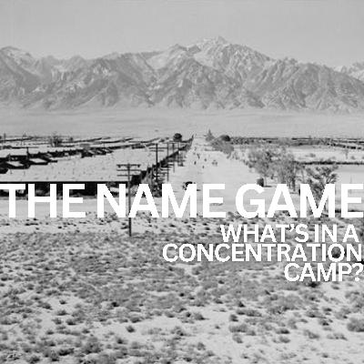 What's in a Concentration Camp?