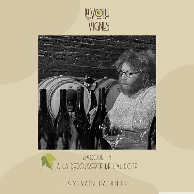 Sylvain Pataille - L' Aligoté