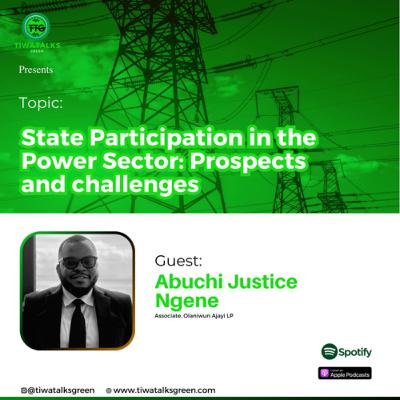 State Participation in the Power Sector: Prospects and challenges