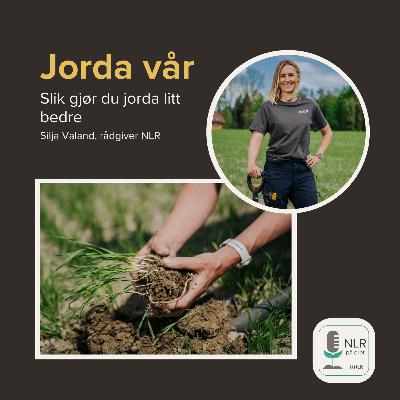 Slik gjør du jorda litt bedre