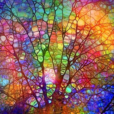 Meditación de la Ley de la Luz