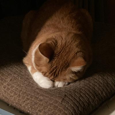 新しいマイク使ってテストしたかっただけ