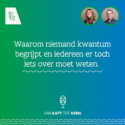 Van kaft tot kern: Waarom niemand kwantum begrijpt en iedereen er toch iets over moet weten.