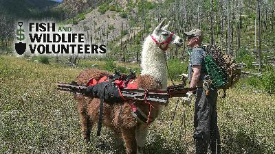 Giving Your Time for Conservation | Week of March 24