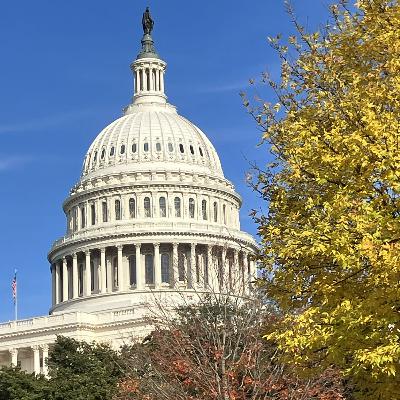 Some American People - XXXIV - Washington, D.C., National Mall