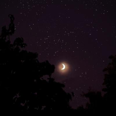 Samhain und Halloween: Infos und Tarotritual Samhain und Halloween: Infos und Tarotritual