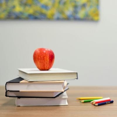 Teaching Without a Degree, by Madalena Silva and Martim Figueiredo