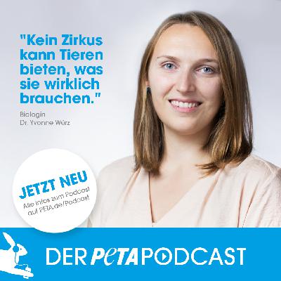 Wenn der Vorhang fällt  - Zirkus & Tierquälerei
