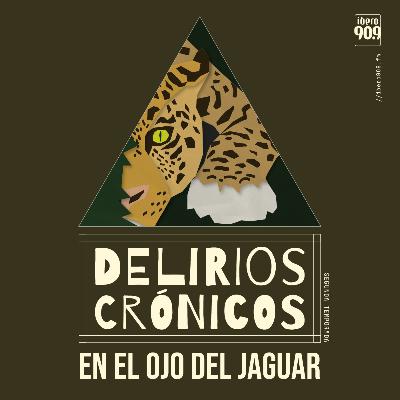 En el ojo del jaguar En el ojo del jaguar