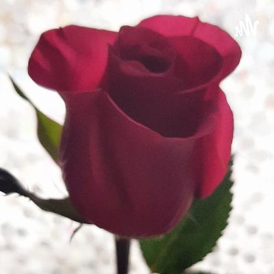 Gypsy Tales (Trailer)