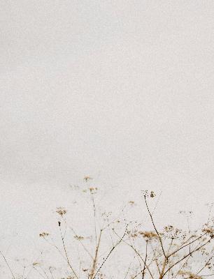 How I’m experimenting with my upcoming launch