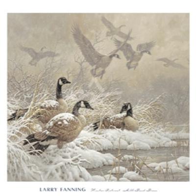 WILD GEESE by Mary Oliver WILD GEESE by Mary Oliver