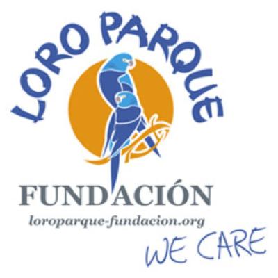 Cacatúa Colirroja (27-11-2025)