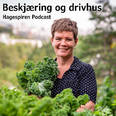 9/26: Tilbakeblikk - Beskjæring og drivhus med Marianne Utengen