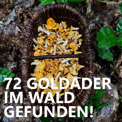 #72 Goldader im Wald gefunden!