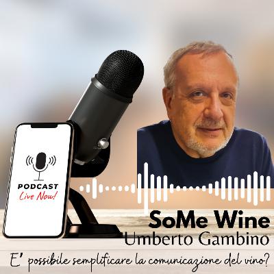 Ep. #38 Un viaggio attraverso l'evoluzione del vino italiano negli ultimi 25 anni con Umberto Gambino