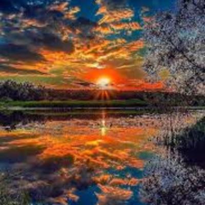 Disfrutar con nosotros