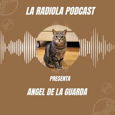 Episodio 46 Angel de la guarda Episodio 46 Angel de la guarda