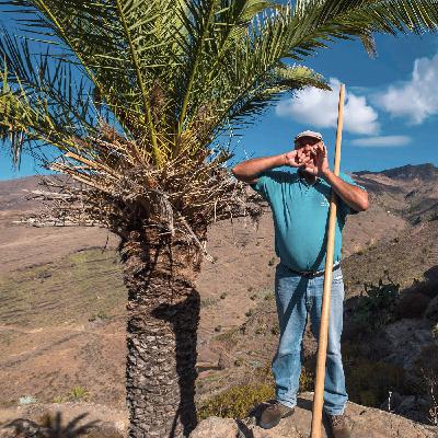 Le silbo, la langue sifflée de La Gomera – Canaries Le silbo, la langue sifflée de La Gomera – Canaries