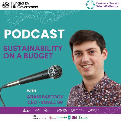 29: Sustainability on a Budget: Practical Strategies to Reduce Your Business’ CO₂ Emissions Without Breaking the Bank
