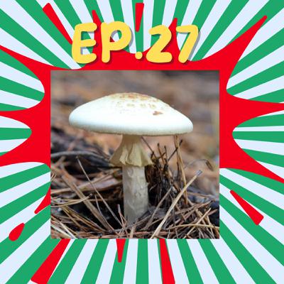 EP27.凸槌報報vol1:鬼滅之刃前導👺蘑菇殺手🍄‍🟫屎尿飛安危機✈️💩寵物變食物😋異地辦公前進星巴克💻