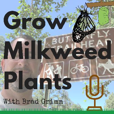 GMP 43: Tucson Area Milkweed