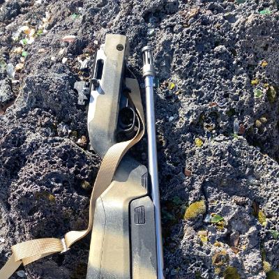 10/22 Variants - All Weather International Takedown 10/22 Variants - All Weather International Takedown