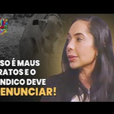 PETS EM CONDOMÍNIOS: Os desafios e adversidades no cuidado e proteção | +QUE Condomínios PETS EM CONDOMÍNIOS: Os desafios e adversidades no cuidado e proteção | +QUE Condomínios