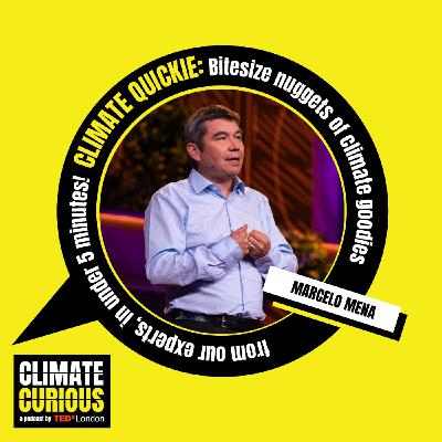 Climate Quickie: Why methane must go