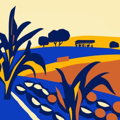 1.3 Im Boden - Regenerative Landwirtschaft