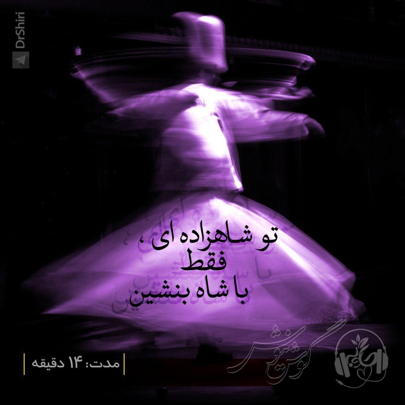 تو شاهزاده ای، فقط با شاه بنشین